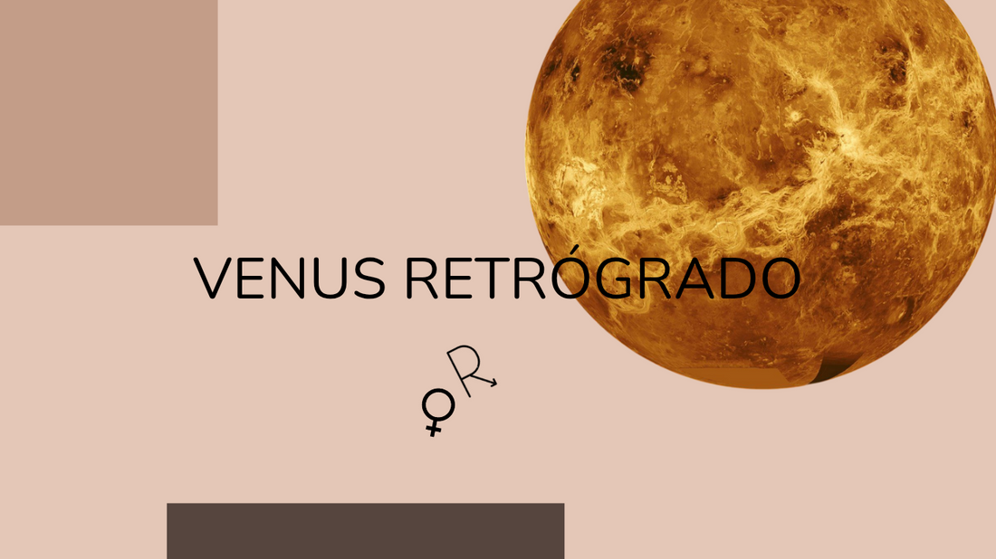 Venus Retrógrado en Aries y Piscis 2025: recupera tu poder